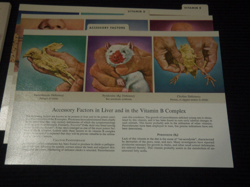 1947 VITAMINS AND CLINICAL CASE MANAGEMENT BY LEDERLE LABORATORIES - KD 3350C