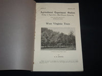 1920 WEST VIRGINIA TREES BULLETIN 175 - JOHN LEE COULTER - MORGANTOWN - J 9118