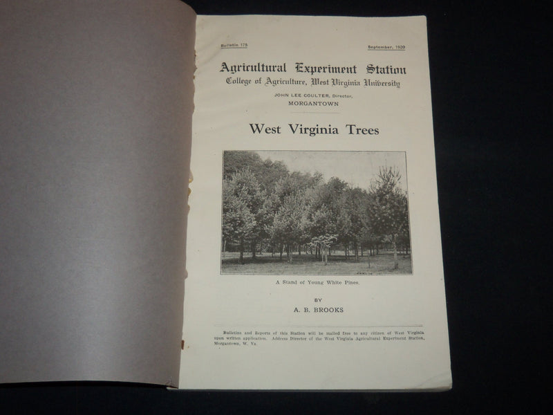 1920 WEST VIRGINIA TREES BULLETIN 175 - JOHN LEE COULTER - MORGANTOWN - J 9118