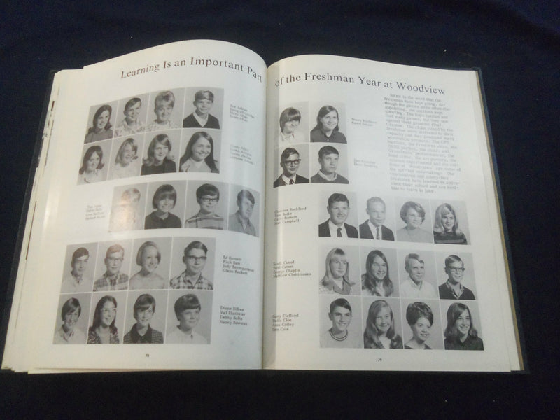 1968 LEAVES OF WOODVIEW WOODVIEW JUNIOR H.S. YEARBOOK -INDIANAPOLIS, IN- YB 2669