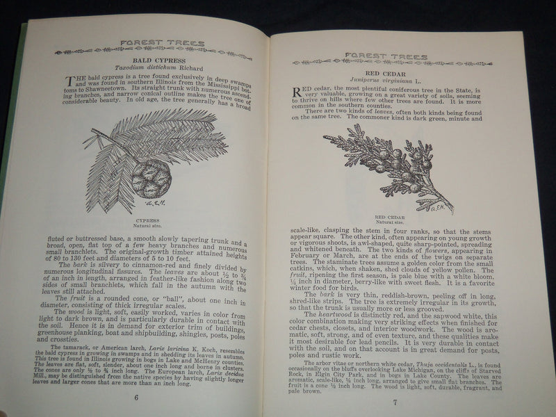 1953 FOREST TREES OF ILLINOIS HOW TO KNOW THEM BOOK - J 8630