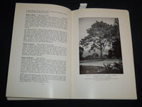 1940 TREES OF SANTA BARBARA DESCRIBED AND LOCATED BOOK BY RENSSELAER - J 8747