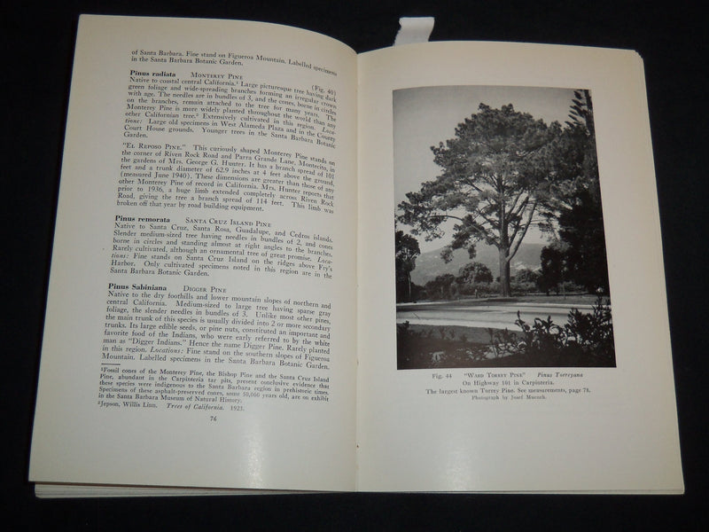 1940 TREES OF SANTA BARBARA DESCRIBED AND LOCATED BOOK BY RENSSELAER - J 8747