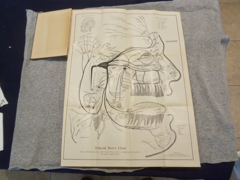 1923 CONDUCTION AND INFILTRATION ANESTHESIA BY MENDEL NEVIN - KD 2758Q