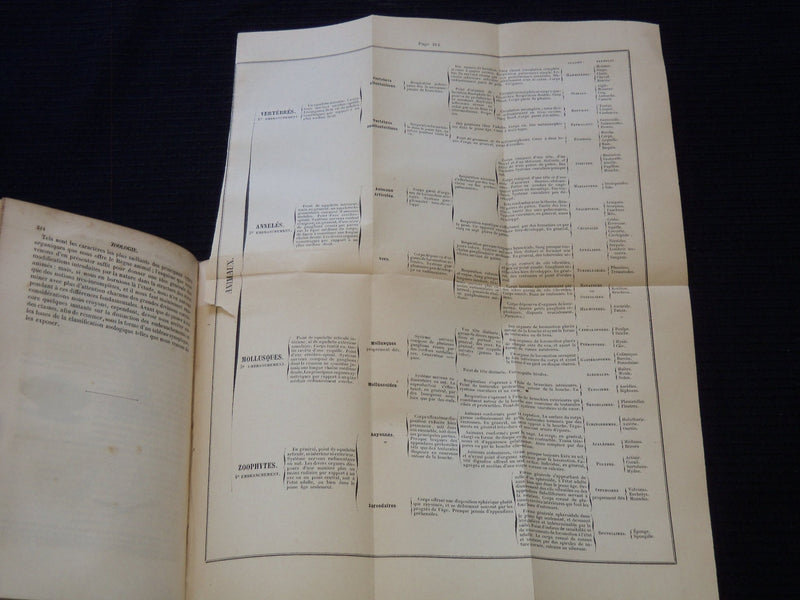 1850 COURS ELEMENTAIRE D'HISTOIRE NATURELLE FRENCH VOLUME - KD 7713