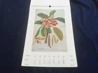 1995 BOTANICA CALENDAR - GREAT PAINTINGS - ST 2648S