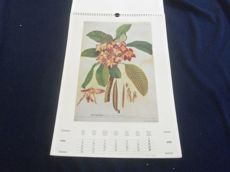 1995 BOTANICA CALENDAR - GREAT PAINTINGS - ST 2648S