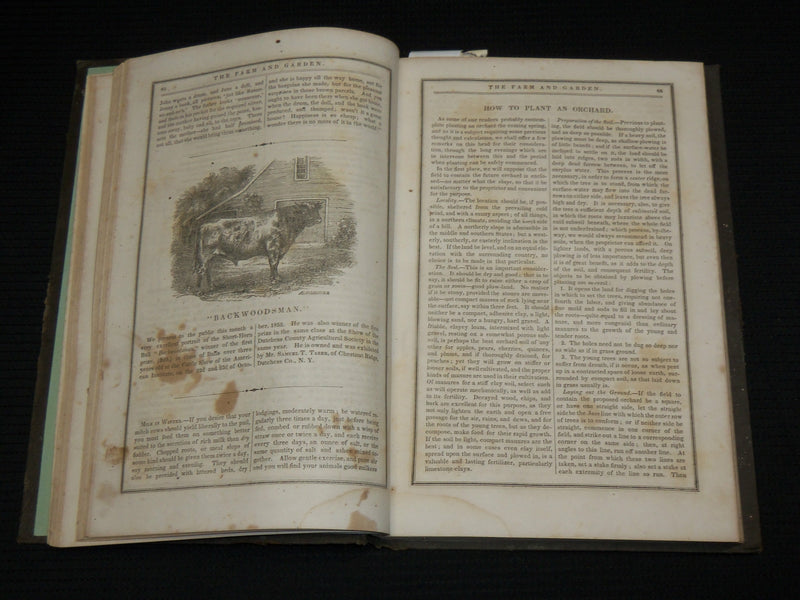 1853 THE FARM AND GARDEN MAGAZINE BOUND VOLUME - NICE ILLUSTRATIONS - KD 7397