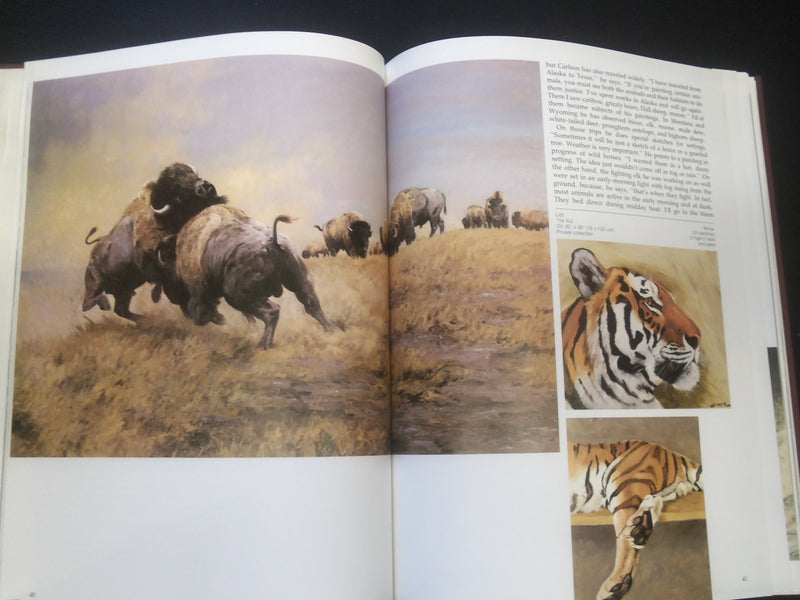 1982 WILDLIFE ARTISTS AT WORK HARDCOVER BOOK BY PATRICIA VAN GELDER - R 735K