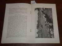 1926 OCTOBER TESTING DRAFT HORSES BULLETIN #240 - IOWA STATE COLLEGE - K 1122