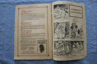 1916 DEC SUCCESSFUL FARMING MAGAZINE - GREAT COVER, ARTICLES & ADS - ST 1000L