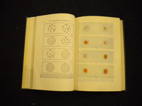 1946 THE PRINCIPLES OF HEREDITY HARDCOVER BOOK LAURENCE H. SNYDER - KD 8137
