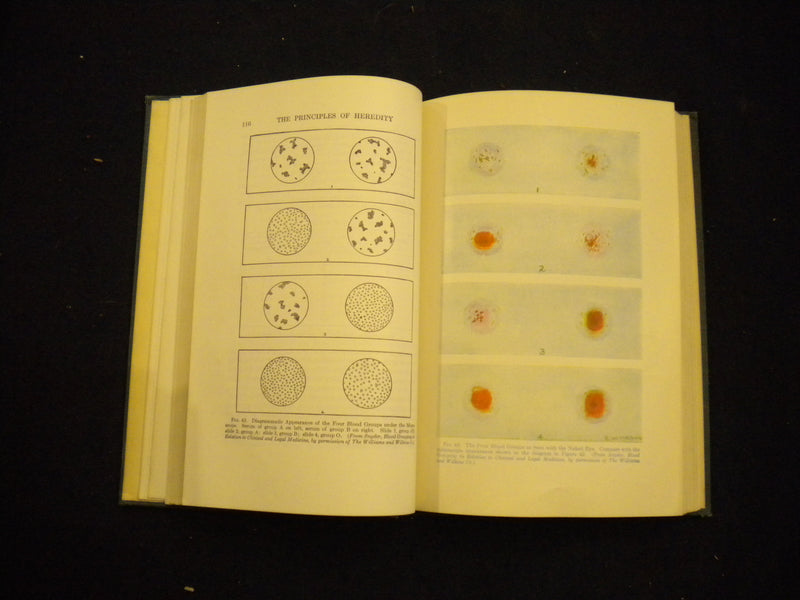 1946 THE PRINCIPLES OF HEREDITY HARDCOVER BOOK LAURENCE H. SNYDER - KD 8137