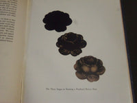 1940 EARLY AMERICAN DECORATION BY ESTHER STEVENS BRAZER BOOK - KD 4348