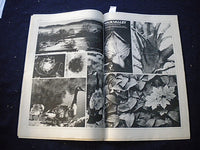 1972 HUDSON VALLEY VOICE NEWSPAPER - VOL. 1, ISSUE 1 - NP 6006
