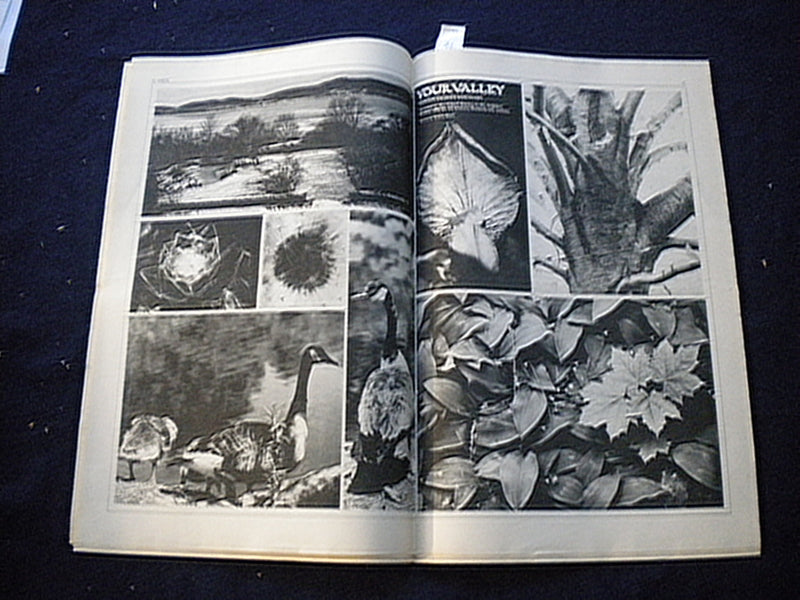 1972 HUDSON VALLEY VOICE NEWSPAPER - VOL. 1, ISSUE 1 - NP 6006