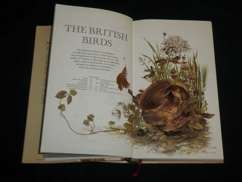 1973 BOOK OF BRITISH BIRDS HARDCOVER BOOK - NICE COLOR ILLUSTRATIONS - KD 7037