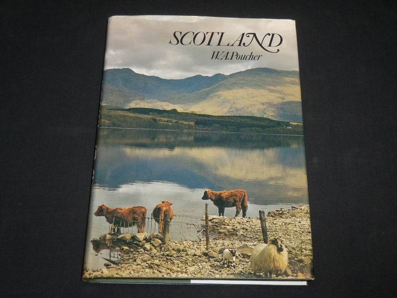 1987 THE NEW CHINESE PAINTING 1949-1986 SOFTCOVER BOOK BY COHEN - I 1976