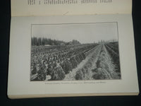 1916 SOCIETY OF AMERICAN FLORISTS ORNAMENTAL HORTICULTURISTS PROCEEDINGS- J 4407