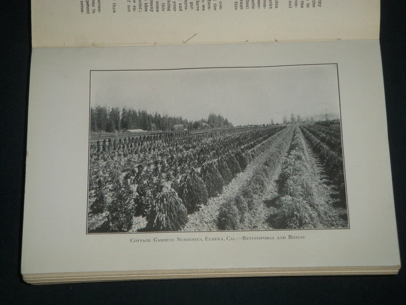 1916 SOCIETY OF AMERICAN FLORISTS ORNAMENTAL HORTICULTURISTS PROCEEDINGS- J 4407