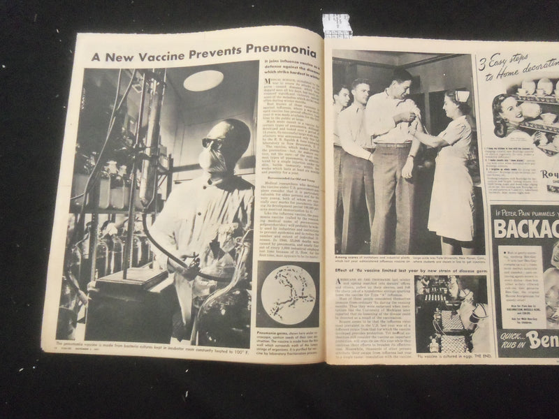 1947 NOV 2 SYRACUSE HERALD AMERICAN PARADE MAGAZINE - ELIZABETH TAYLOR - SP 886Z