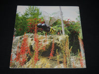 2012 WILL RYMAN DESUBLIMATION OF THE ROSE SOFTCOVER BOOK - R 727A