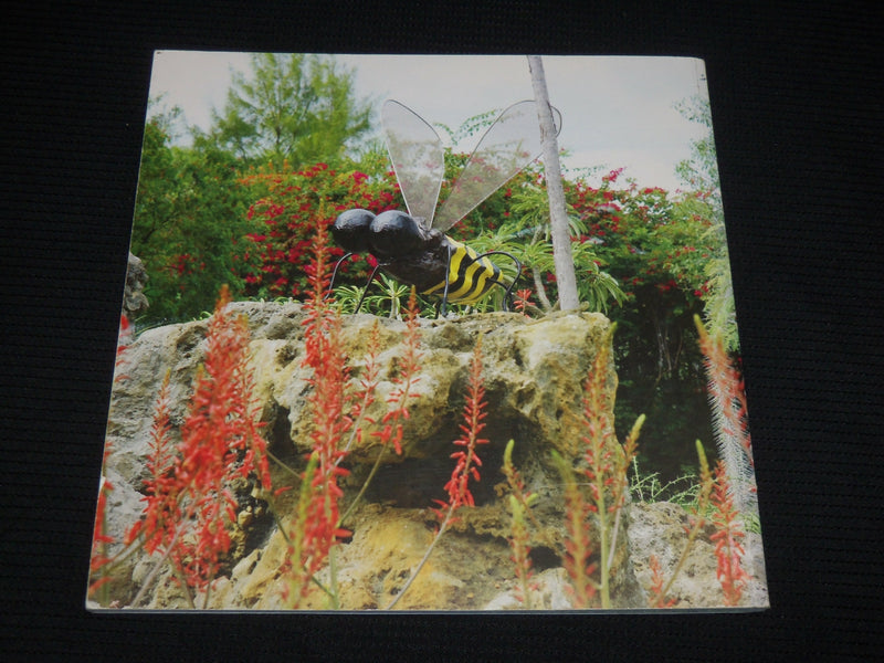 2012 WILL RYMAN DESUBLIMATION OF THE ROSE SOFTCOVER BOOK - R 727A