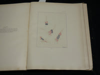 1912 STUDIES IN CANCER - PATHOLOGY BOUND VOLUME NO. 2 - 32 PLATES - KD 4500