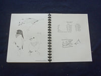 1986 BIRD STUDIES SOFTCOVER BOOK BY DAVID MOHRHARDT - KD 8204