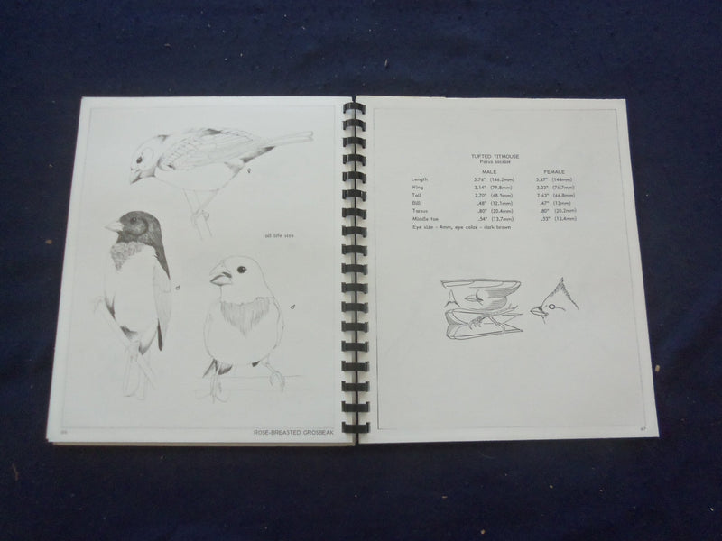 1986 BIRD STUDIES SOFTCOVER BOOK BY DAVID MOHRHARDT - KD 8204