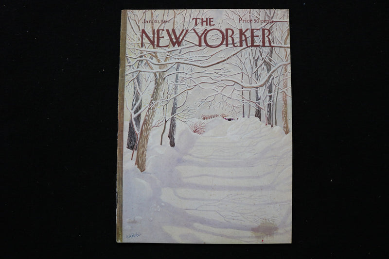 1971 JANUARY 30 NEW YORKER MAGAZINE - GREAT ILLUSTRATED COVER - NY 2834