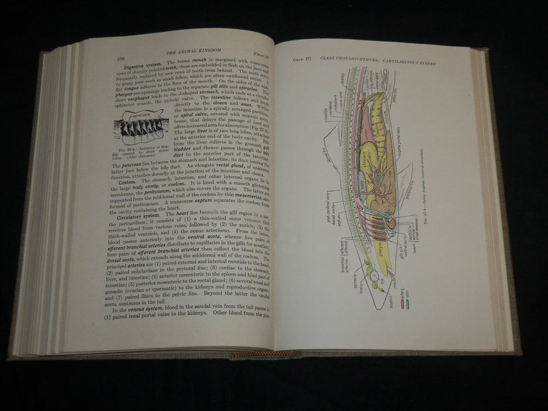 1943 GENERAL ZOOLOGY HARDCOVER BOOK BY TRACY I. STORER - KD 6989