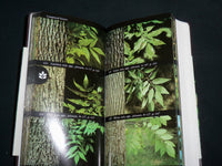 1998 NATIONAL AUDUBON SOCIETY FIELD GUIDE TO NORTH AMERICAN TREES BOOK - KD 7191