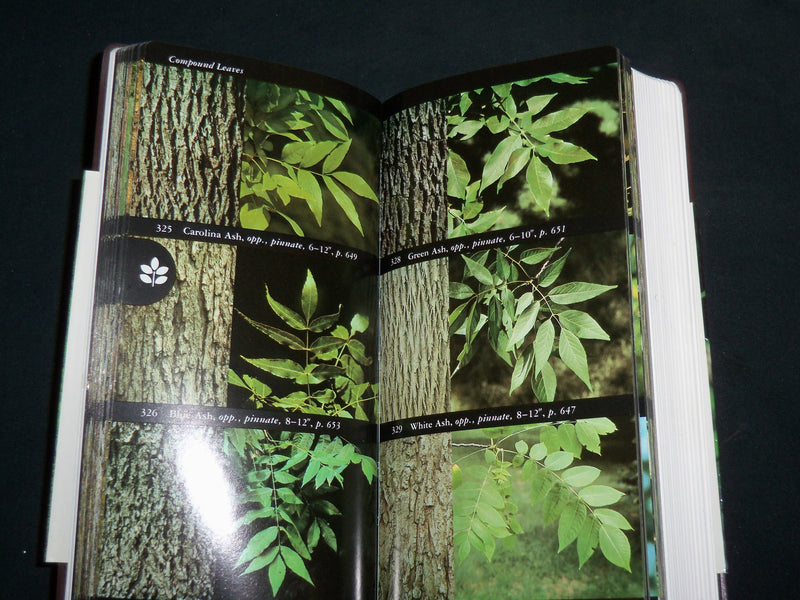 1998 NATIONAL AUDUBON SOCIETY FIELD GUIDE TO NORTH AMERICAN TREES BOOK - KD 7191