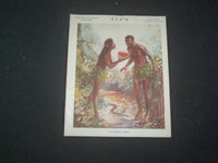 1917 FEBRUARY 22 LIFE MAGAZINE - GARDEN OF EDEN NUMBER-ETHIOPIAN VERSION- L 764T