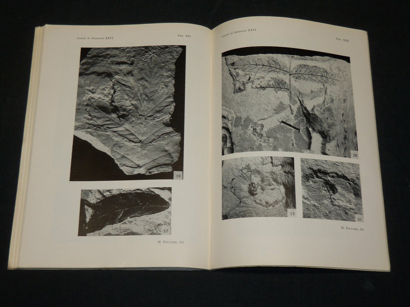 1958-1963 ANNALI DI BOTANICA DIRECTED BY VINCENZO RIVERA LOT OF 6 - WR 284D