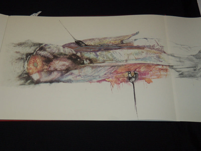 1969 RENZO VESPIGNANI RAPPORTO SULL'AUTORE BOOK SIGNED #518 - R 731V