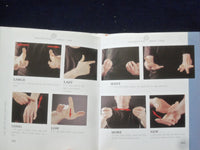 2002 THE ART OF SIGN LANGUAGE HARDCOVER BOOK BY CHRISTOPHER BROWN - KD 8784