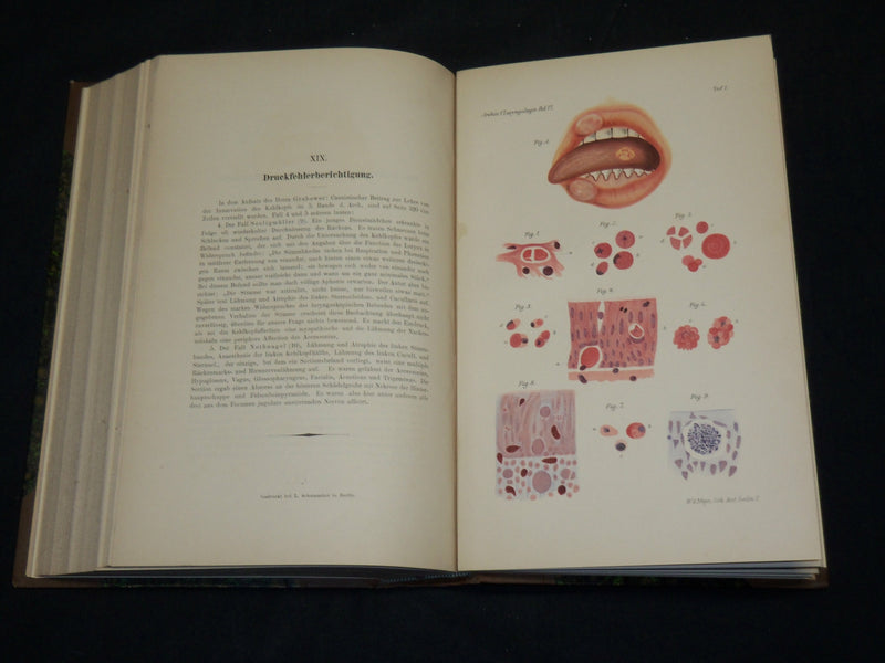 1894-1904 ARCHIV FUR LARYNGOLOGIE UND RHINOLOGIE GERMAN VOLUMES LOT OF 13 - KD 9
