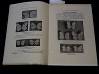 1914 OUR COMMON BUTTERFLIES BOOK BY FRANK E. LUTZ - LEAFLET NO. 38 - J 7301