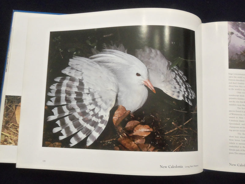 2003 SOUTH SEA ISLANDS - A NATURAL HISTORY HARDCOVER BOOK - KD 8304