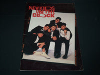 1989 NEW KIDS ON THE BLOCK POSTER BOOK - GREAT PHOTOS - 18 PAGES - SP 3242C