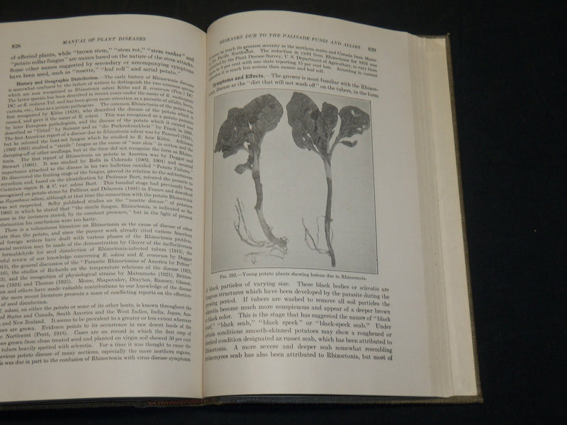 1933 MANUAL OF PLANT DISEASES BOOK BY FREDERICK DEFOREST HEALD - KD 5940