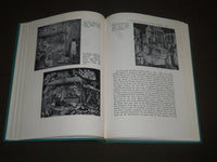 1978 ITALIAN PAINTING 1200-1600 BY ERNEST T. DE WALD HARDCOVER BOOK - I 920