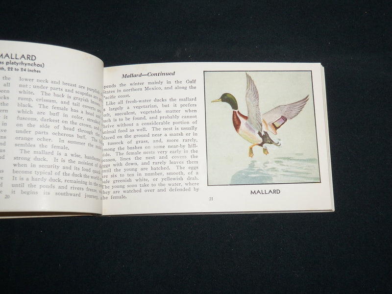 1931 THE RED BOOK OF BIRDS OF AMERICA SOFTCOVER BOOK BY ASHBROOK - J 6856