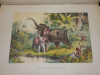 1870'S THE LIFE & EXPLORATIONS OF DR. LIVINGSTONE VOLUME - COLOR ILLUS. - Z 177
