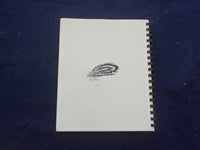 1986 BIRD STUDIES SOFTCOVER BOOK BY DAVID MOHRHARDT - KD 8204