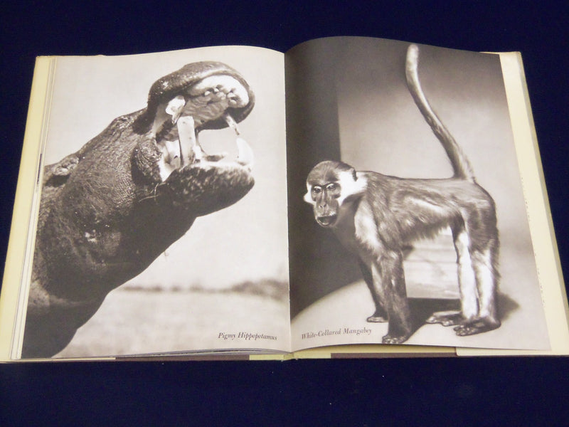 1964 ANIMAL LANGUAGE BOOK B JULIAN HUXLEY + RECORD BY LUDWIG KOCH - KD 3486H