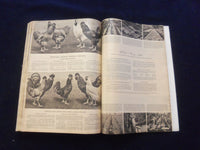 1945 SPRING AND SUMMER MONTGOMERY WARD CATALOG - ST. PAUL, MN EDITION - R 94R