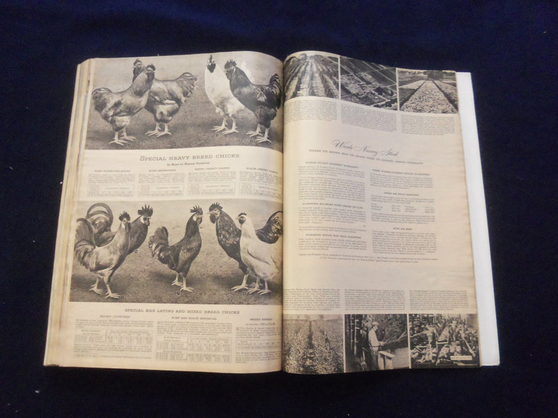 1945 SPRING AND SUMMER MONTGOMERY WARD CATALOG - ST. PAUL, MN EDITION - R 94R
